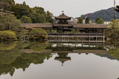IMG_3859