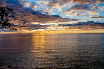 IMG_6187-Ti