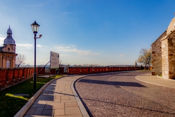 IMG_7587-Ti