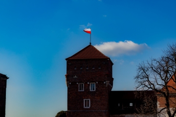 IMG_7616-Ti