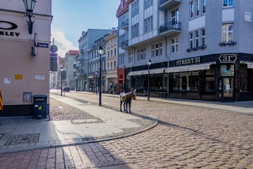IMG_7997-Ti
