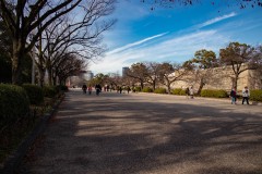 IMG_2918