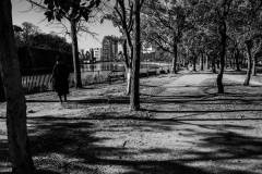 IMG_2953-2