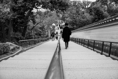 IMG_3166